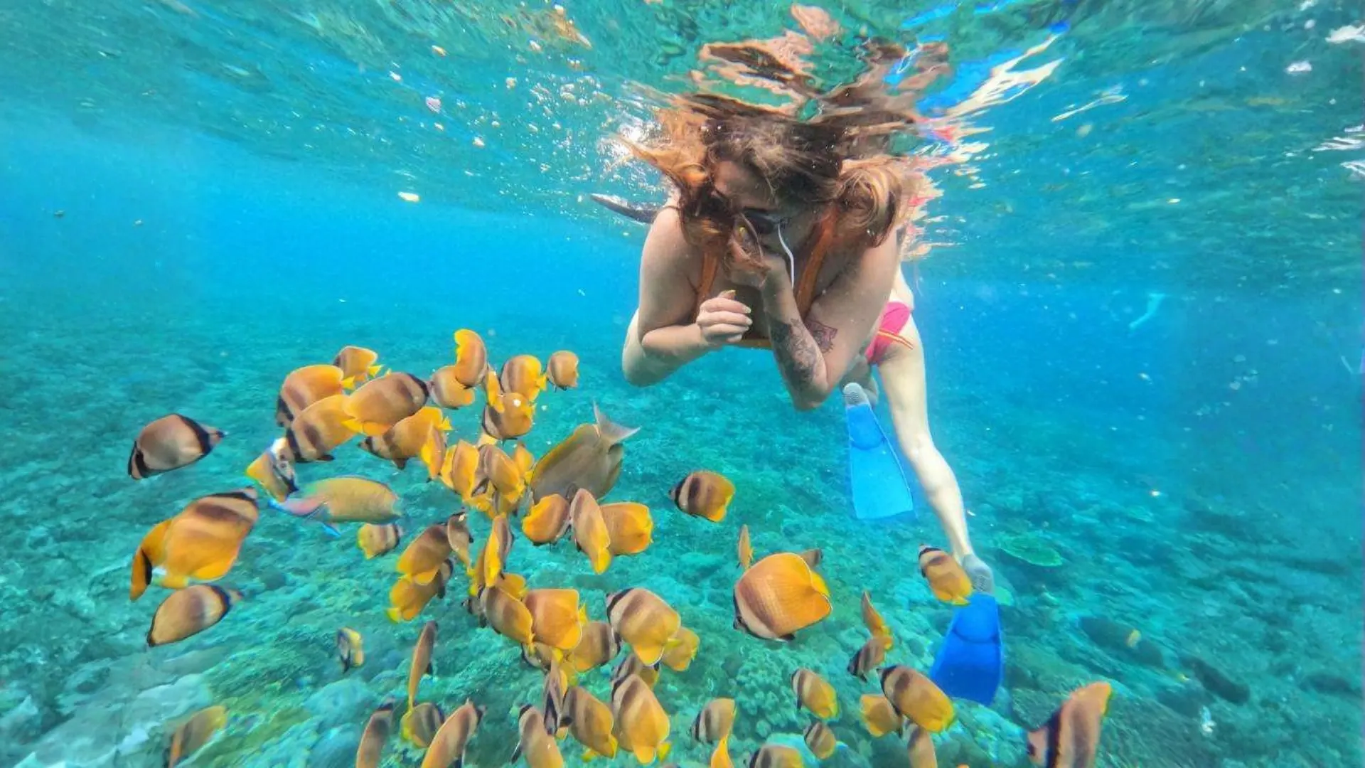 Bali to Gili Fast Boat - Gili Direct: Your Trusted Booking Platform for Speedboat Transfers to Gili Islands, Lombok, and Nusa Penida.